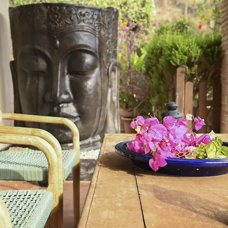 Alegre Playa Grupo Terra De Mar Calpe